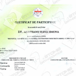 DIPLOME MUNTEANU SIMONA20240729_10325511_1024x724